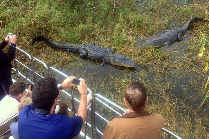 Florida Everglades Airboat Tour and Wild Florida Admission with Optional Lunch - Photo 1 of 13